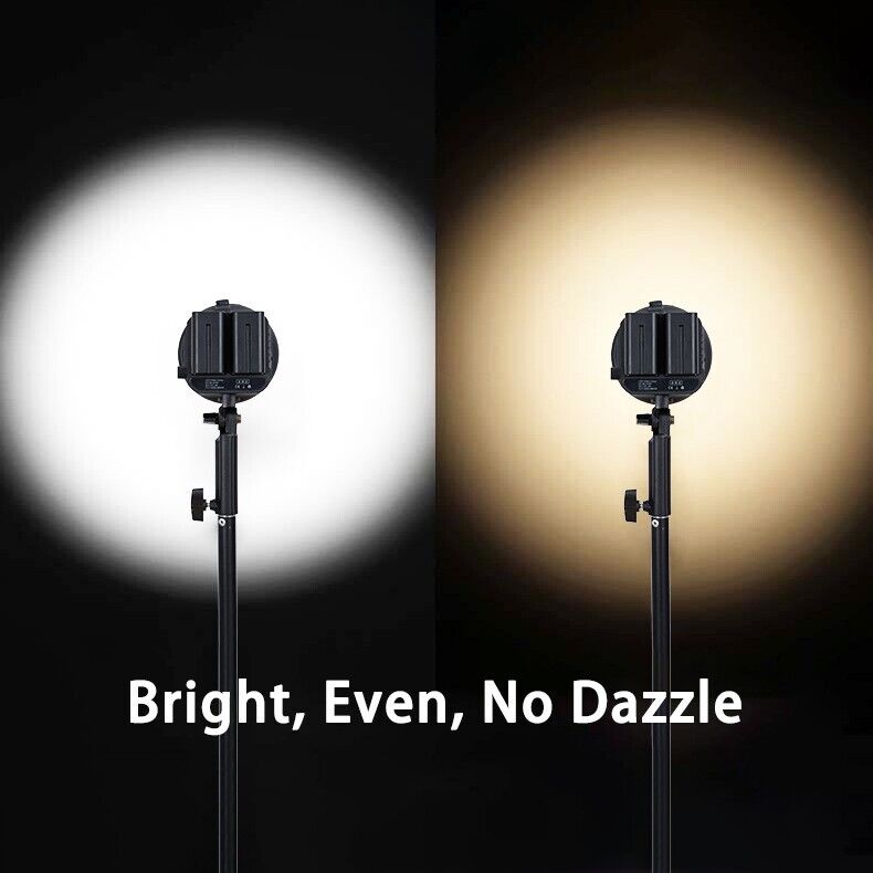 80W Handheld LED Video Light